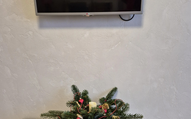 Квартира в центре Нижнего Новгорода,площадь Горького