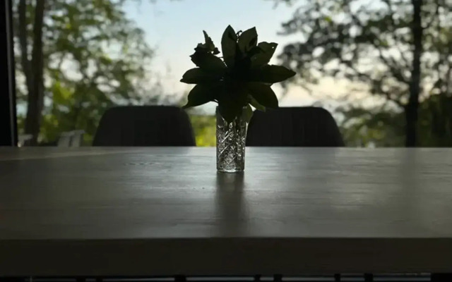 Частный дом Лесной дом