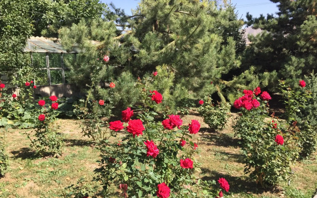 Гостевой Дом Ранчо