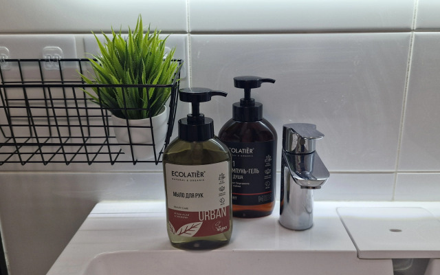 Квартира Студия в Янинском Лесу