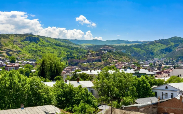 Апартаменты Amazing View in Tbilisi
