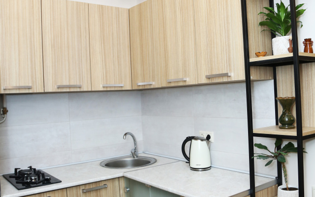 Ploshad Respubliki Apartments