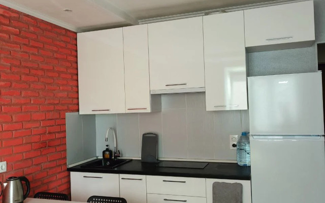 Квартира Стильная студия