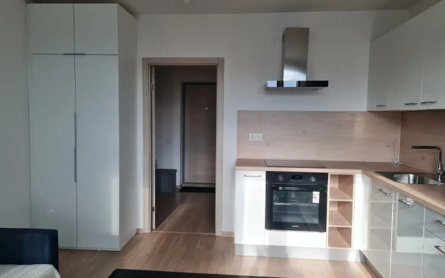 Уютная Студия На Парина 41