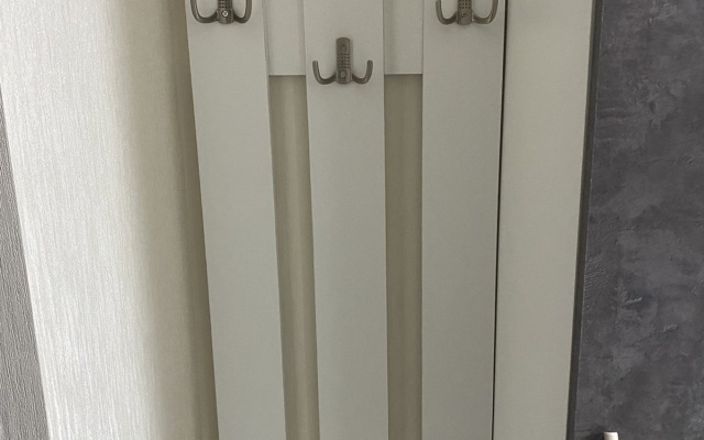 S Novym Remontom Studio Flat