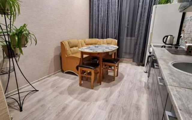 Квартира Однокомнатная в Центре