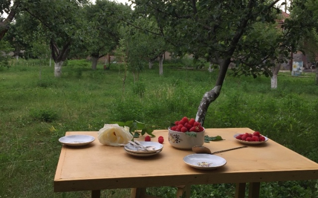 Apple Tree Guest House
