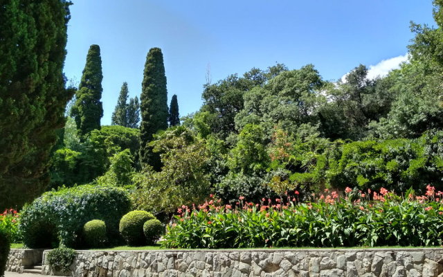 Pansionat Aktyor Resort