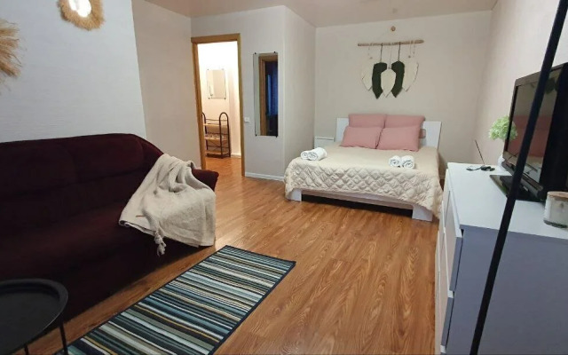 Квартира на улице Гагарина 13/61