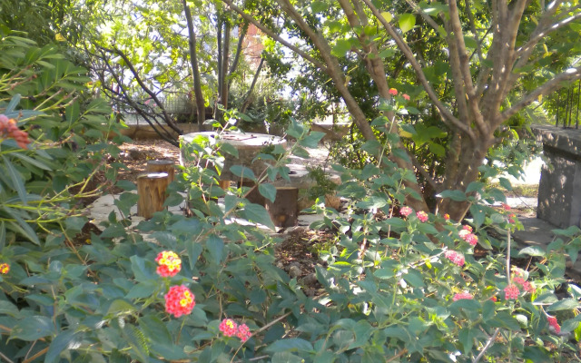 Lastavica Apartments