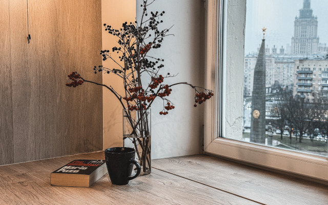 Квартира С панорамным видом у Москва-Сити Киевская