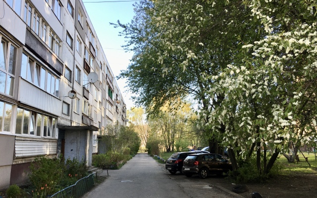 2-kh komnatnaya Amber apartment Flat