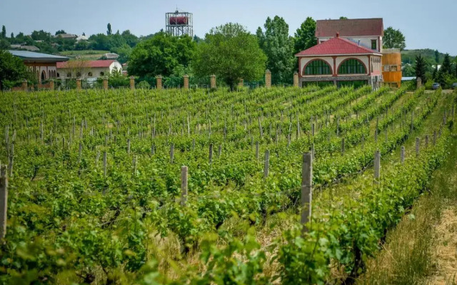Chabiant Winery Hotel