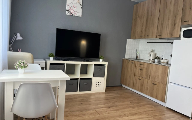 Апартаменты "DaRent Karelia" на Октябрьской 4а