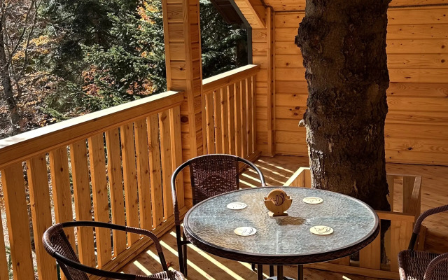 Arkhyzgreen Guest House