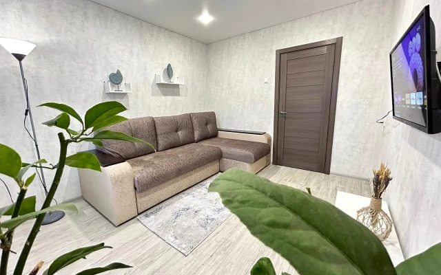 Zebrahome na Tatisheva Flat