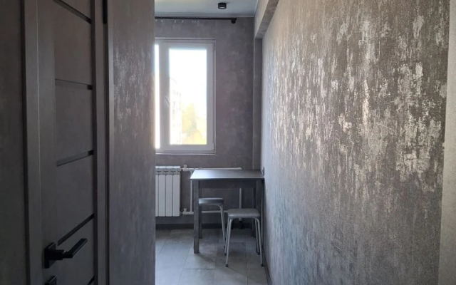 Квартира Однокомнатная в Серых Тонах