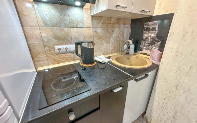Na Ruzheynoy 1 Apartments