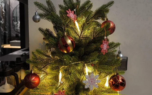 RentalSPb Redlake Красное Озеро