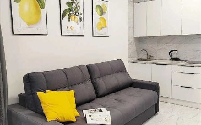 Sovremennaya Studiya s Panoramnymi Oknami Flat