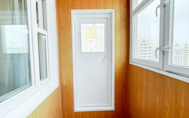 Odnokomnatnye na Guryanova 2/3 Apartments