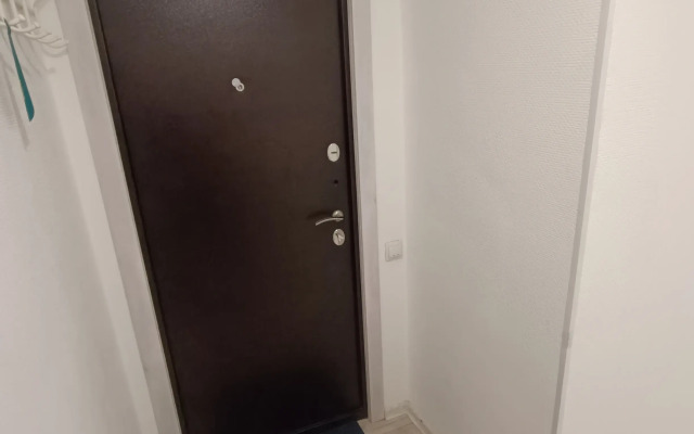 Апартаменты Студия на Киевской 60 233