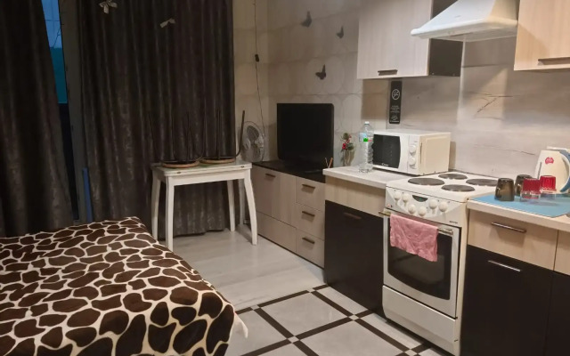 Квартира студия на Лермонтова 10к3