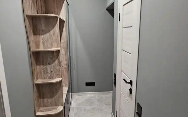 Квартира Олимпийская 87