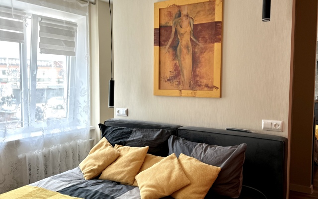 Uyutnaya Studiya U Ploschadi Pobedy Flat