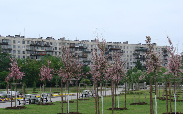 Apple Green Apartments