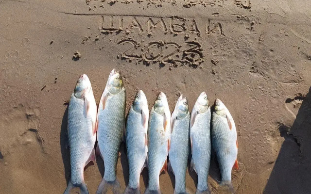 База отдыха Высокий берег