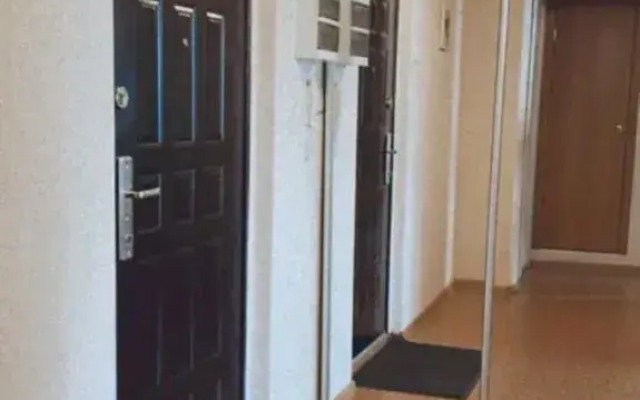 V Tsentralnom Rayone Chelyabinska Flat