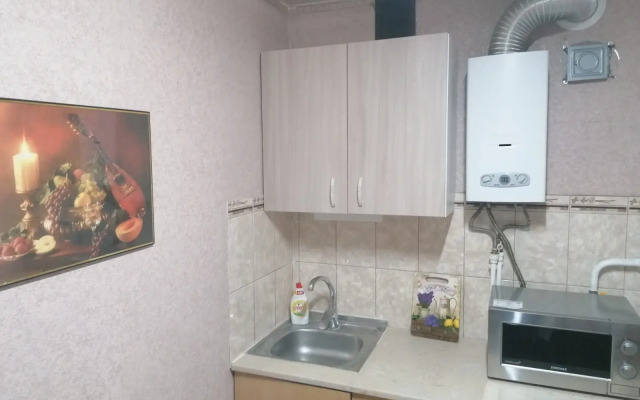 Odnokomnatnaya Privokzalnaya 6 Flat