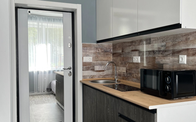 Апартаменты Stepanenkov на Воеводина 4 (1)