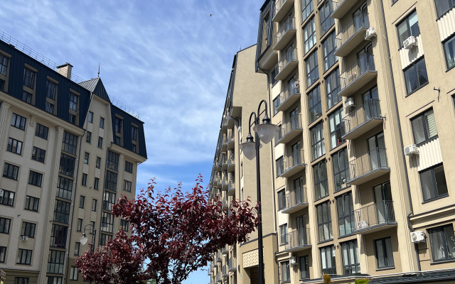 V Tsentre Zelenogradska Apartments