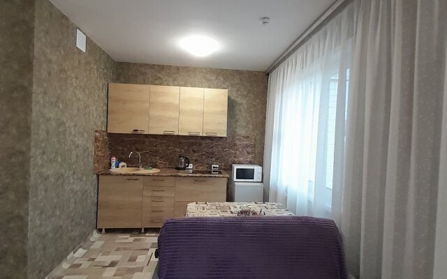 Апартаменты Студия на Переулке Светлогорский 9