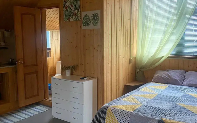 Частный дом на Пограничном переулке 3А (3)
