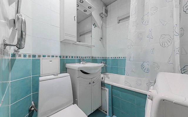 Zelenyj 83k3 Hanaka Apartments