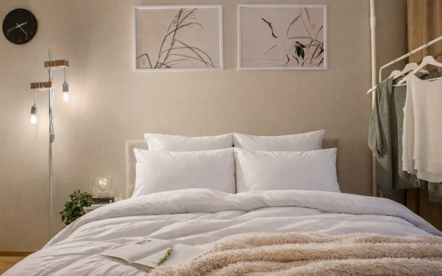 Апартаменты Студия Natalie Apartments Пулковское шоссе 14 Е (17)