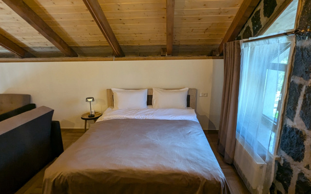 Частный дом озле реки