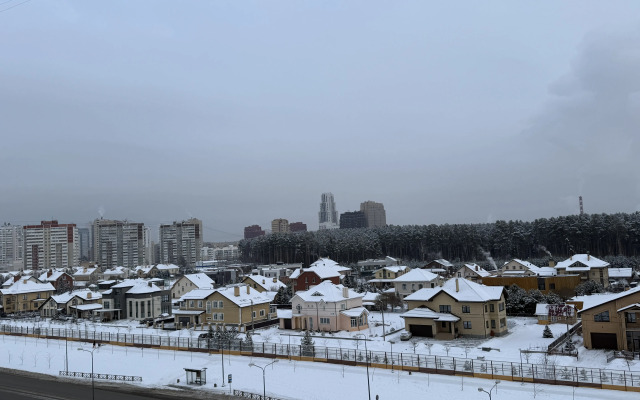 Odnokomnatnaya 40M Flat