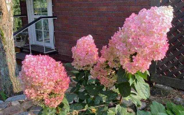 Частный дом Дом отдыха у Кузьмичa "Кордон"