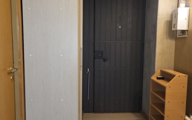 Prostornaya kvartira v tsentre Flat