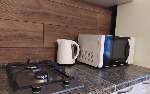 Lipetsk Tsentr 1 Apartments