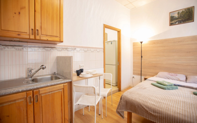 Апартаменты Студия Улучшенная Владимирский