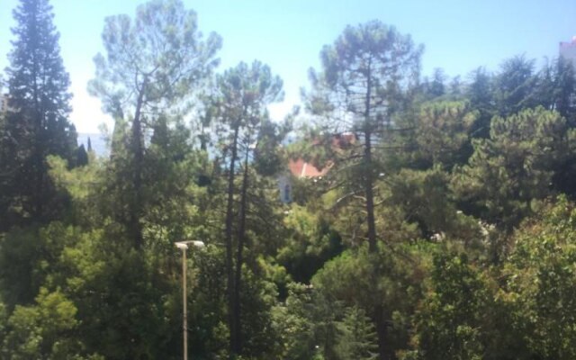 Palma Sochi 5