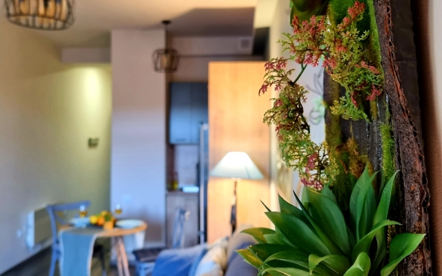Nature View Designer Studio