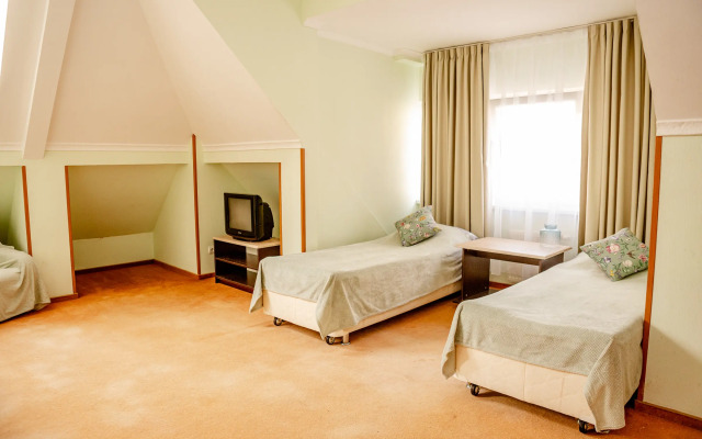 Mansardnye u morya Apartments