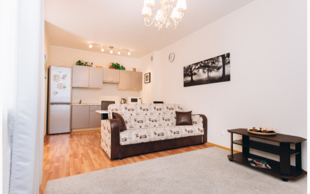 Апартаменты на Шейнкмана