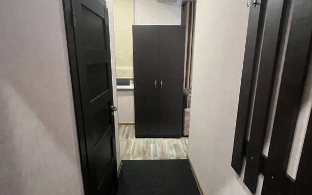 Апартаменты 1-комнатная , Мира 105а